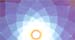 47_sunflower
