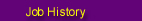 summary of employment history